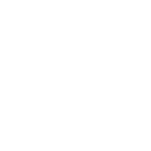 Competitive Pricing Icon